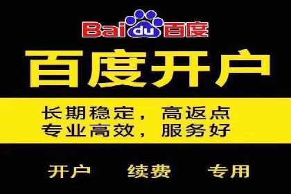 百度竞价优化技巧：成功案例分享